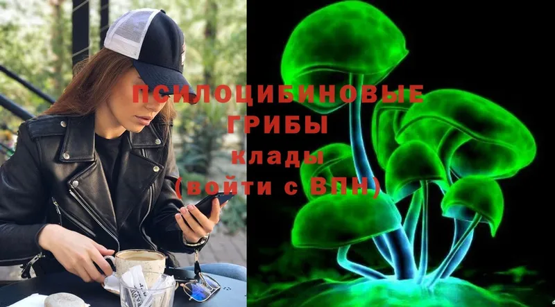 Галлюциногенные грибы Psilocybe  Глазов 